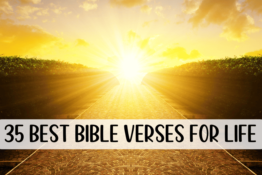Best Bible Verses for Life