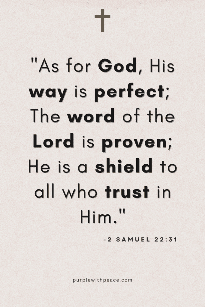 2 Samuel 22 31