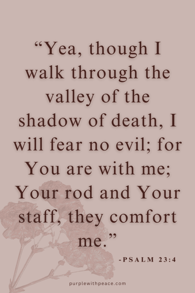 Psalm 23 4